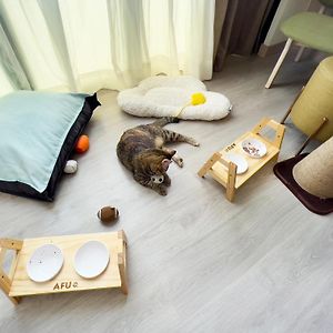 Pet Friendly Family Room